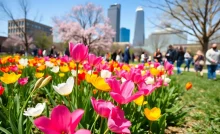 Community members in Dallas supporting local journalism during springtime.