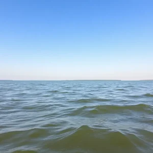 Scenic view of Lake Lewisville emphasizing safety in water activities.