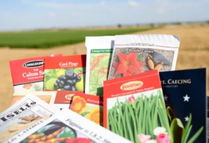 Variety of unopened seed packets on a farm background